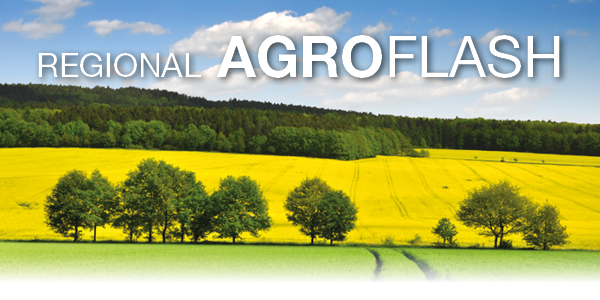 RO banner regional agroflash.png