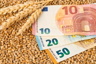 Piața cerealelor- comparații și previziuni ale prețurilor